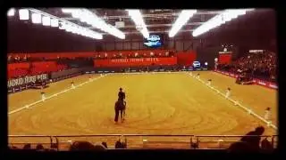 Madrid horse week 2016- Ifema