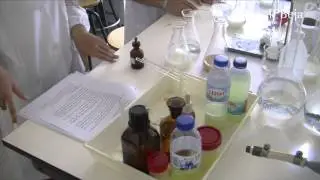 Programa Ci&ecirc;ncia Viva no Laborat&oacute;rio