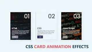 CSS Card Hover Animation Effects | CSS Animation