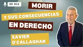 ⚖️ Heredar no es para todos: secretos y reglas de la sucesión mortis causa
