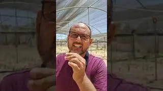 أراضي طريق الحيز بالواحات البحرية م اسعد الفقي 01090855418