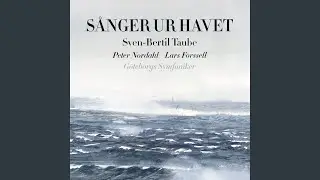 Havet