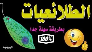 الطلائعيات الحيوانية النباتية الفطرية الاميبا البراميسيوم الاهداب  الطحالب العلوم الصف السابع