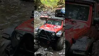 RC Truck Madness! 🚛 | Off-Road Challenges Unleashed