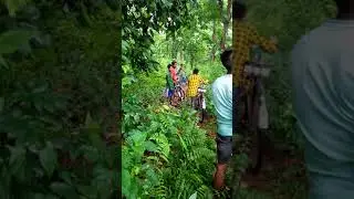 In the forest with friends || apalchand forest area