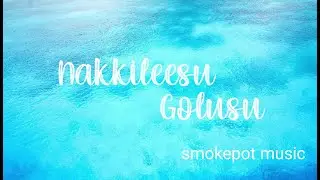 Nakkileesu Golusu Full Lyrical Song | Karuna Kumar | Rakshit, Nakshatra, Raghu Kunche