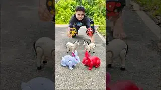 Amr rc 2 Ta Rabbit 🐇 vs 2 Ta Horse 🐎 Dakho 🤪