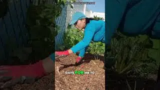 Winter Gardening Prep: Mulch & Finish Projects!