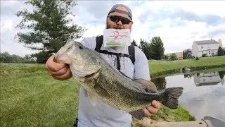 LAKE FORK Trophy Lures Hyper Worm Test (Largemouth Fishing)