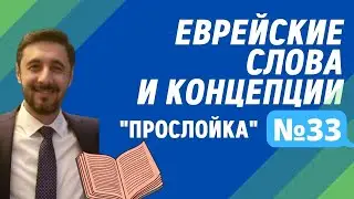 🪙 Еврейские слова и концепции: &laquo;Прослойка&raquo; №33. Половина Шекеля. Лучше меньше, да лучше