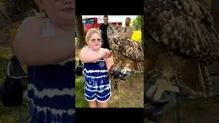 Party Paws Mobile Zoo #party #animals #shorts