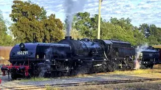 NSWGR 6029 Warms Up - Maitland Steamfest 2024