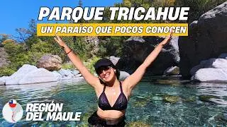 PARQUE TRICAHUE: Un lugar Mágico en las Montañas de Chile 🇨🇱