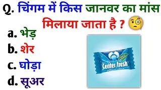 Gk Quiz | Hindi Quiz | Gk questions and answers | Quiz videos | Golden GK Quiz | GK Questions |