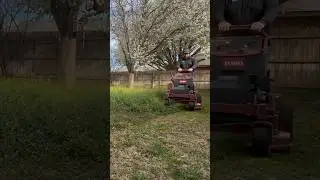 OVERGROWN Yard Rescue: It SMELLED like Mustard