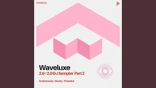 Slowly (Extended Mix)