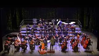 Wiegenlied, Op. 17 (1908) - David de Souza