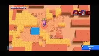 the ultimate Shelly