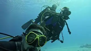 fun diving