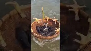 Amazing bamboo basket trap fishing in river #fish #fishing #video