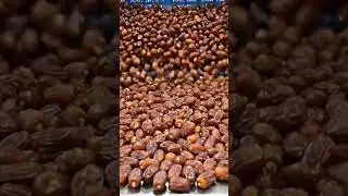 Inside a Modern Date Factory 🏭.      #processseekers #farming #datefarming #shorts #viral