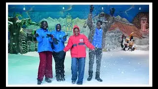 Activating the inner child ; @ SNOW WORLD phoenix market city Mumbai in india