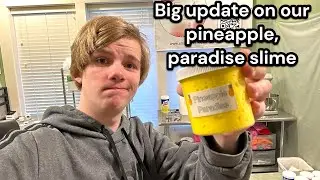 Big update on our pineapple paradise slime