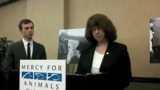 Bill Introduced to Ban Tail Docking of Dairy Cattle in New York
