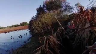 Tealhunt 3 - 2020