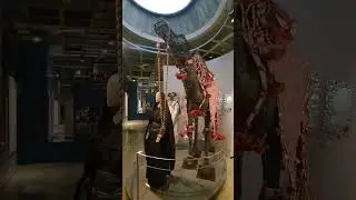 | LLDC Living and Learning Design Centre Craft Museum Ajrakpur Bhuj #gujarat #kutch #gujarattourism