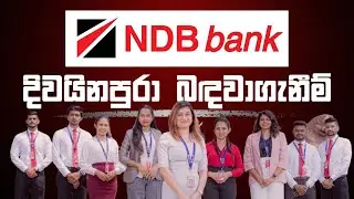 National Development Bank - Internship 