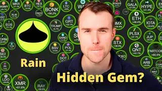 Is Rain A Hidden Gem? 🤩 Crypto Token Analysis
