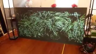 WANT A HIGH CONTRAST JET BLACK PROJECTOR SCREEN?