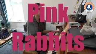 DSJ #23 - Pink Rabbits (Cover by The National)