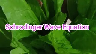 Schrodinger Wave Equation and Significance 