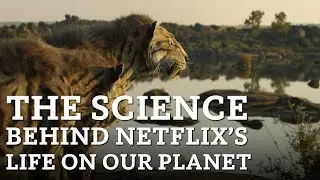 The Science Behind the @Netflix series 'Life on Our Planet' #science #tarpits #losangeles