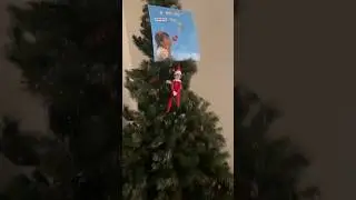 Don&rsquo;t touch the elf on the shelf America 🎅🎄 #christmas #elfontheshelf