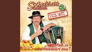 A guate Musi - a guate Zeit