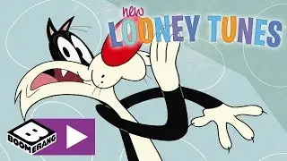 New Looney Tunes | Throwing Clay | Boomerang UK 🇬🇧