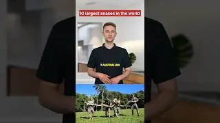 10 largest snakes in the world 🌎 #yt #news #5most #top #facts #youtubeshorts #shorts