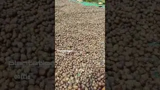 Farm with unpolluted first water from siruvani dam | V1Realtys +919843710234