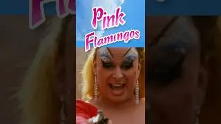 🦩 Pink Flamingos is the ultimate queer camp classic #queer #camp #lgbt #pride #pridemonth #movie