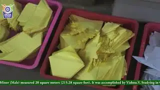 Largest Origami Mosaic by a Minor (Male) - 20151026