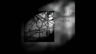 Soul Fallen Angel - Possessed (Single 2021)