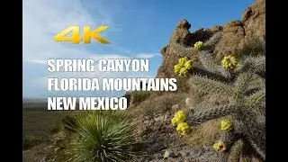 Spring Canyon State Park, Florida Mountains New Mexico in 4k