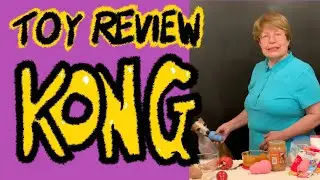Kong Dog Toy Review: Best Size And Color For Your  Dog