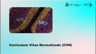 El Curr&iacute;culum V&iacute;tae Normalizado (CVN) de FECYT