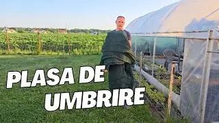 Plasa de umbrire - cand o folosim?