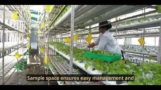 Muttha Climate Resilient Greenhouse