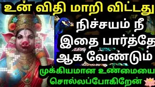💥உன் விதி மாறி விட்டது🔥🙏🏻 உடனே இதை கேள் #amman#varaahiamman#varahiarulvakku#omsaravanabhava#positive